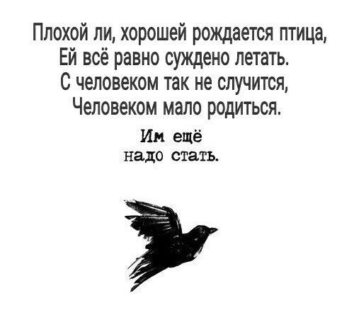 Игры и конкурсы в сауне для компании m ИПИОХ : орден тамплиеров и крестовые походы