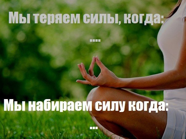 Шиншилла в домашних условиях дрессировка Шиншилла в домашних условиях дрессировка