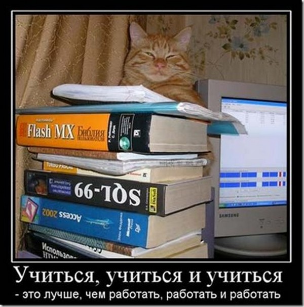 БЛЮДА ИЗ ОТВАРНОЙ РЫБЫ. КАК ВАРИТЬ РЫБУ Ателье в Москве Подшиваем. РУ - сеть ателье по ремонту