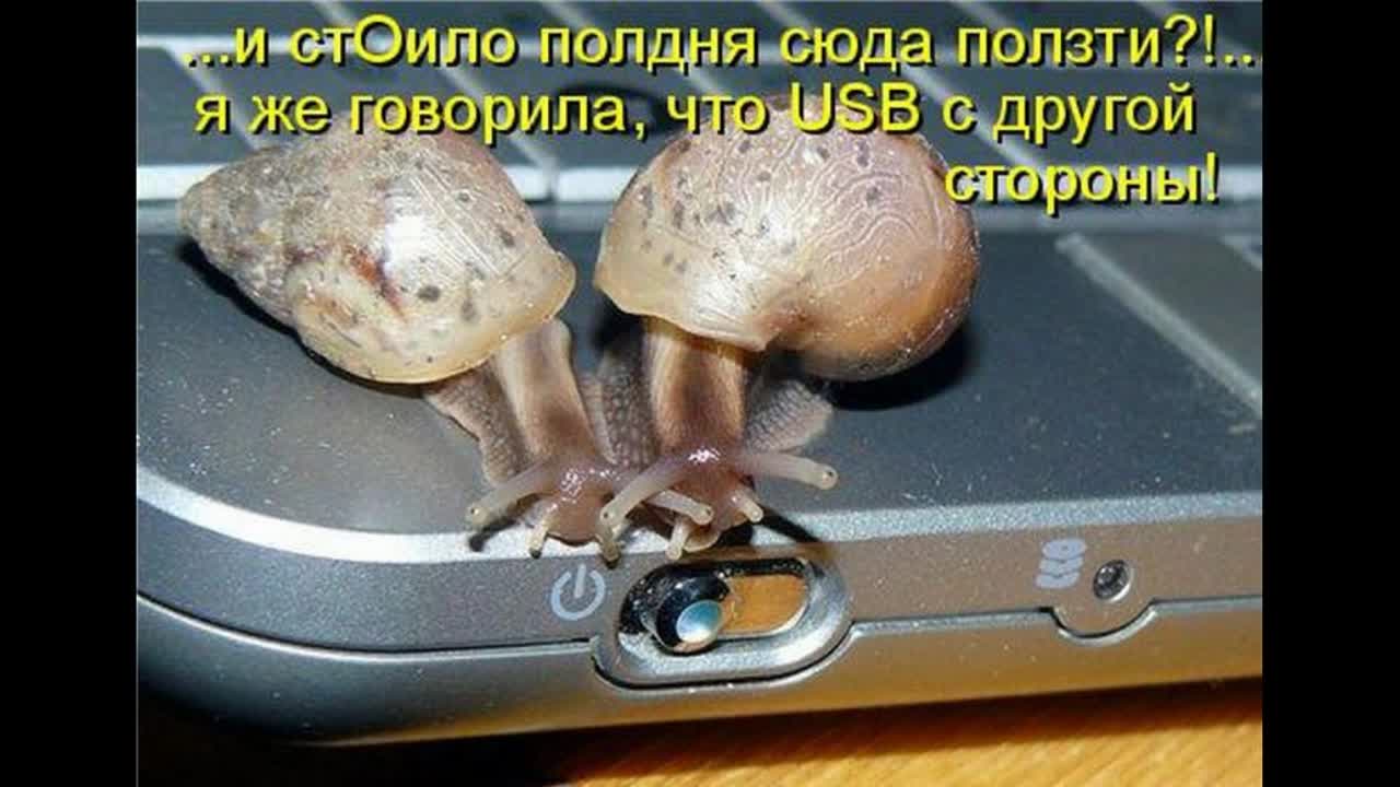 http://f4.mylove.ru/3OEtwQbOql.jpg