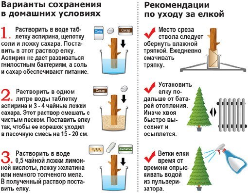 Как сделать чтобы стоял в домашних условиях Как сделать чтобы стоял в домашних условиях