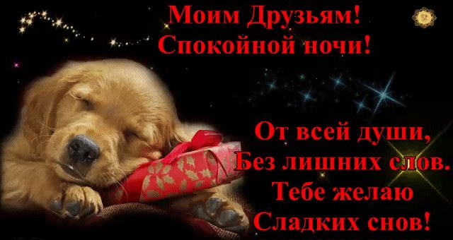Лотман Ю. M. Беседы о русской культуре. Быт и традиции Красивые тосты на день свадьбы