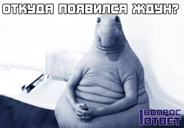 Откуда взялся Ждун? Как появился мем Ждун? ФОТО Откуда взялся Ждун? Как появился мем Ждун? ФОТО