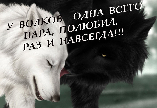Как сделать красивые скулы убрать Как сделать красивые скулы убрать