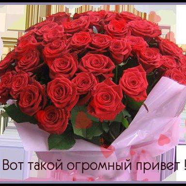 Открытка вот такой тебе привет Открытка вот такой тебе привет
