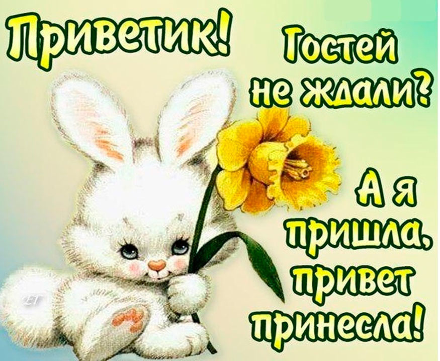 Красивые открытки приветствие Красивые открытки приветствие
