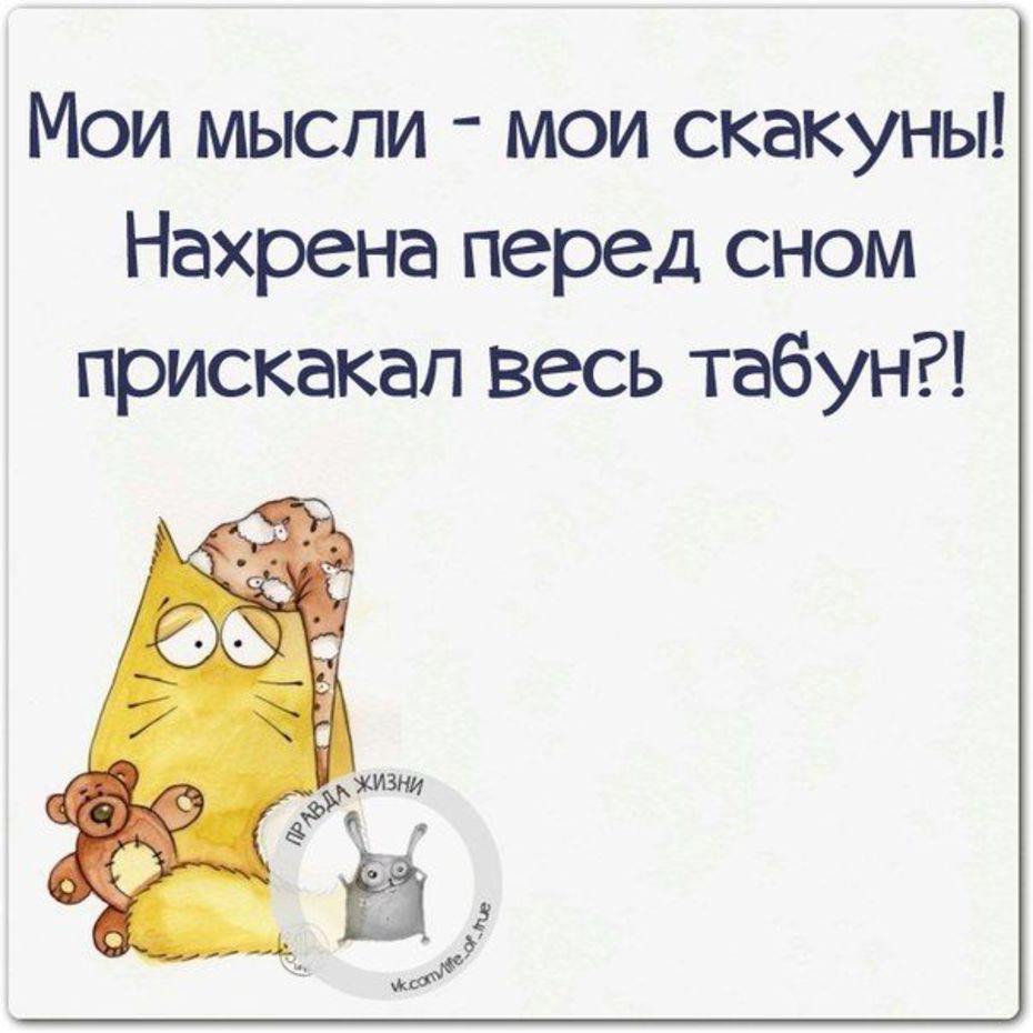 Позитив цитаты в Позитив цитаты в