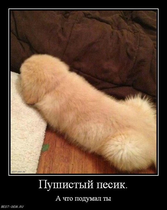 Как я был самостоятельным план рассказа Как я был самостоятельным план рассказа