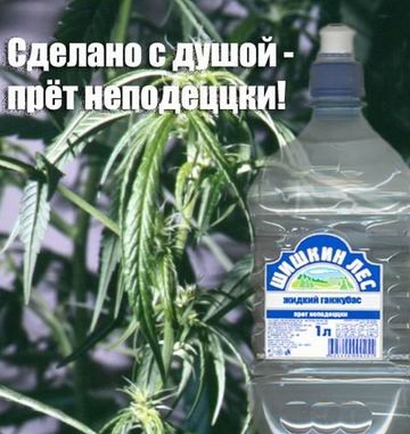 Как сделать трав прущей Как сделать трав прущей