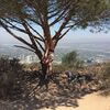 Doreen, 20, г.Колумбус Doreen, 20, г.Колумбус