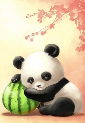 Panda (@panda58) — моя фотография № 2