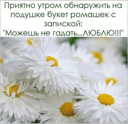 ЛЮБИТ НЕ ЛЮБИТ ТЫ НЕ ГАДАЙ НЕ МУЧАЙ ЦВЕТОЧКИ СКАЧАТЬ БЕСПЛАТНО ЛЮБИТ НЕ ЛЮБИТ ТЫ НЕ ГАДАЙ НЕ МУЧАЙ ЦВЕТОЧКИ СКАЧАТЬ БЕСПЛАТНО