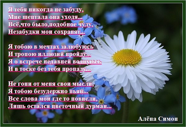 Стих про алёну красивый Стих про алёну красивый