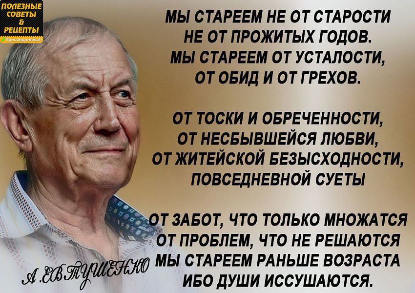 Стих евтушенко мы стареем Стих евтушенко мы стареем