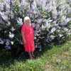 Светлана, 64, г.Добруш Светлана, 64, г.Добруш