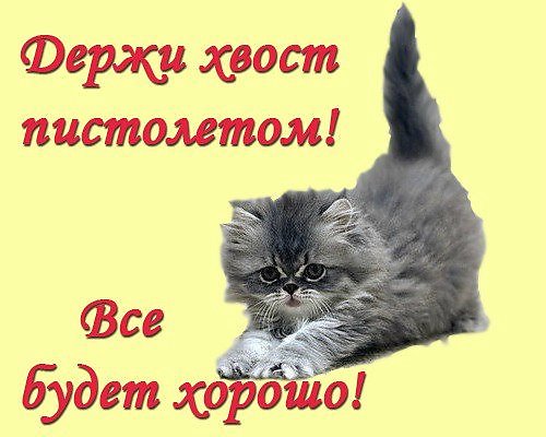 Стих о хрупкой любви Стих о хрупкой любви