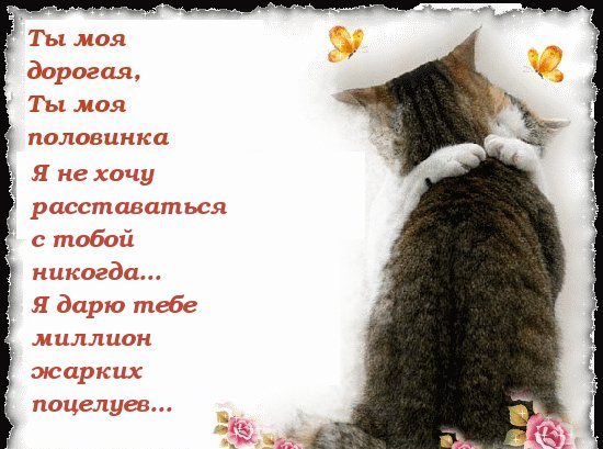 Стих котенок ты мое Стих котенок ты мое