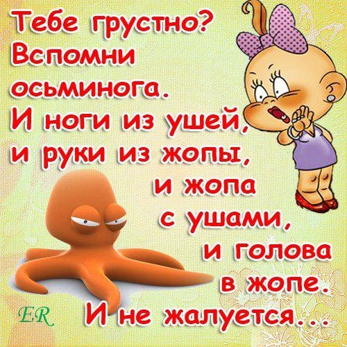 Веселые открытки девушкам Веселые открытки девушкам