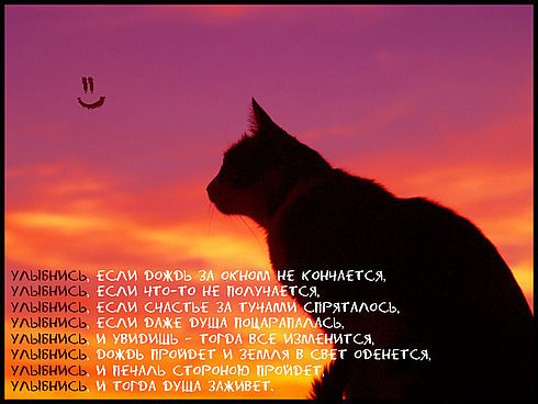 Стих ты улыбнулась не любя Стих ты улыбнулась не любя