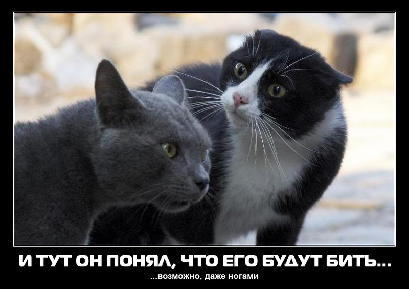 userimg