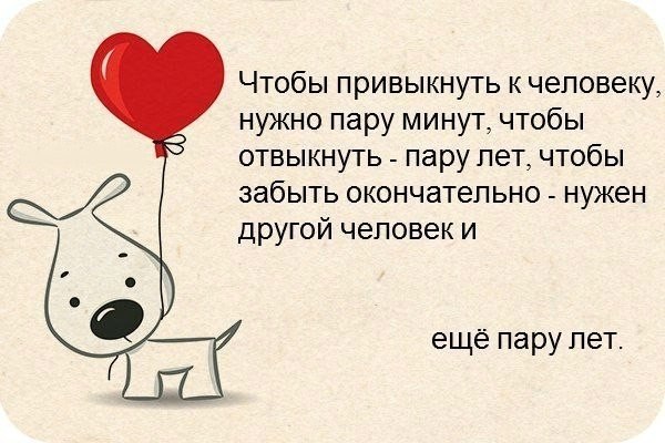 Не привыкайте к людям стих Не привыкайте к людям стих