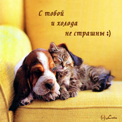 Открытка я с тобой другая