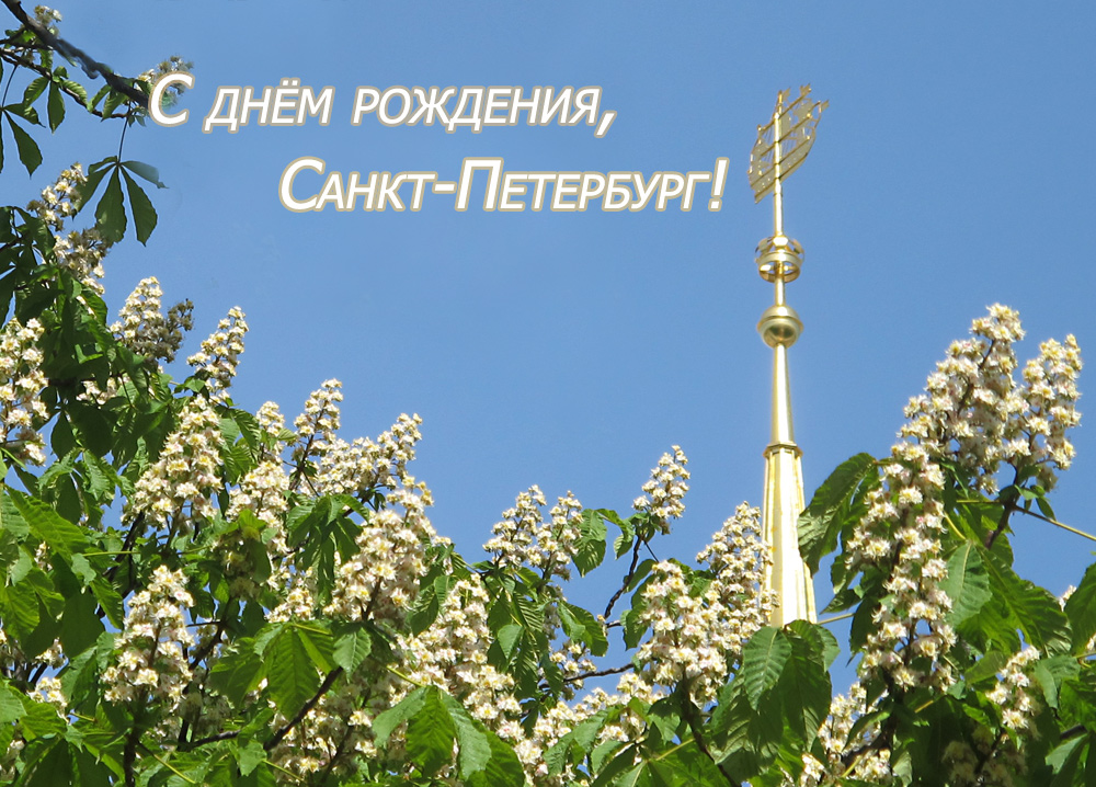 Бизнес выращивание огурцов в теплице 53