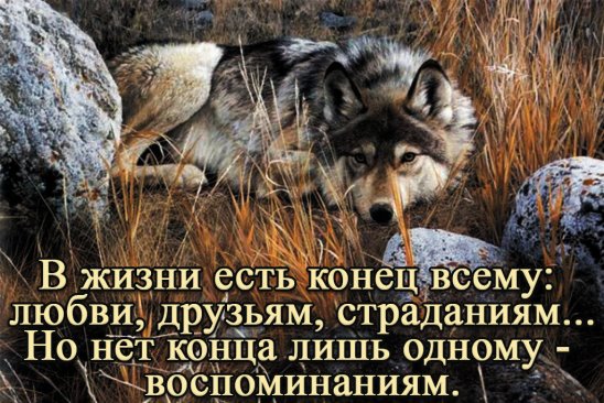 Стих с днём единства Стих с днём единства