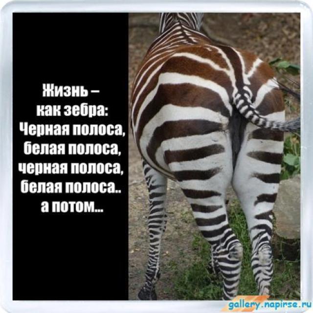 Тост чтобы в жизни было полосы черные Тост чтобы в жизни было полосы черные