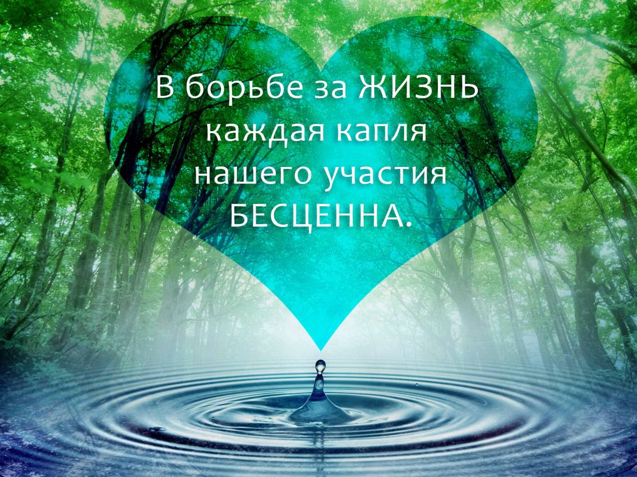 Открытка «Наша жизнь, наша музыка» 11 Открытка «Наша жизнь, наша музыка» 61