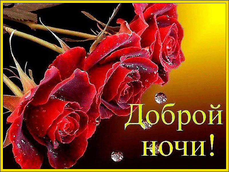 Цветок спокойной ночи Цветок спокойной ночи