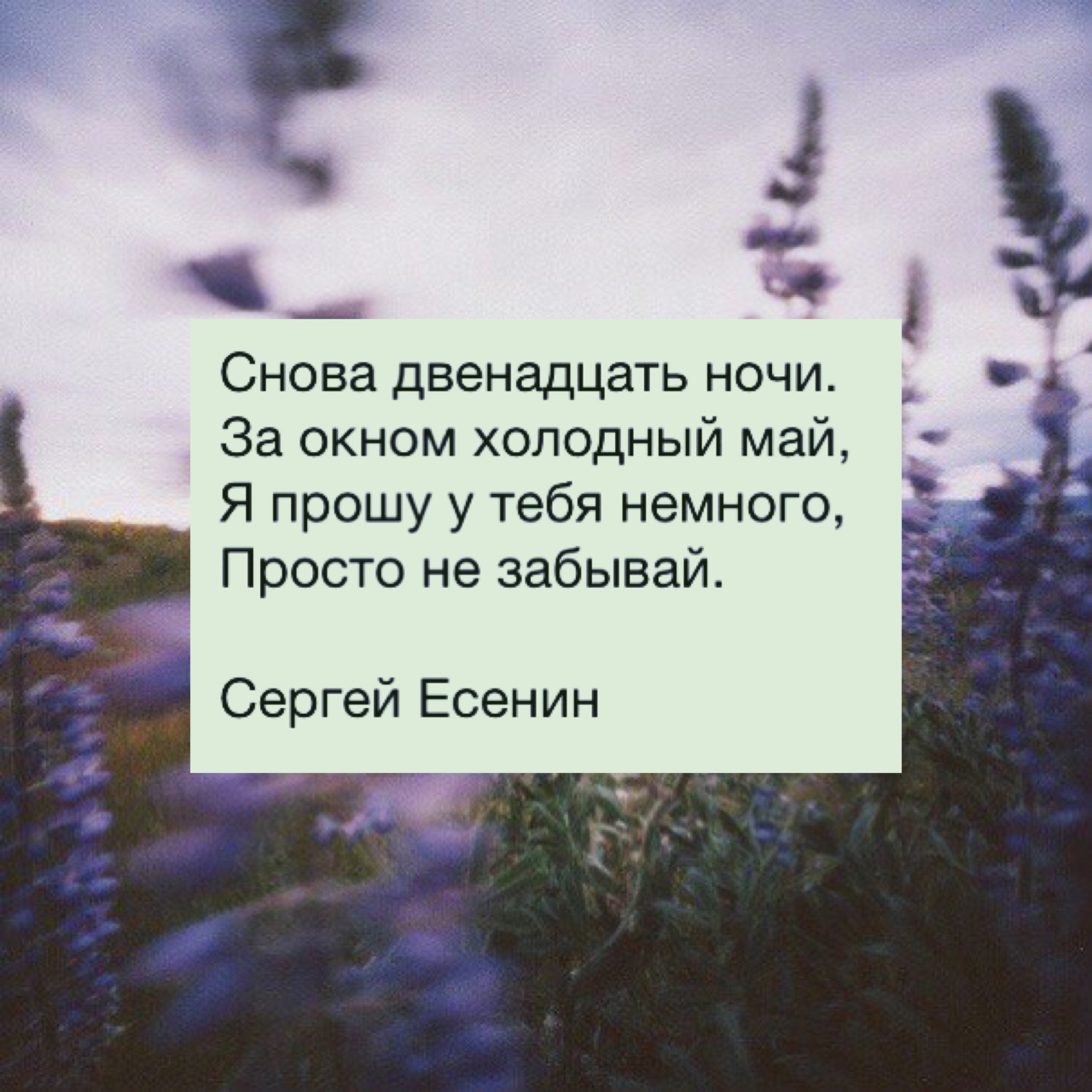 Самый легкий стих из 4 строчек Самый легкий стих из 4 строчек