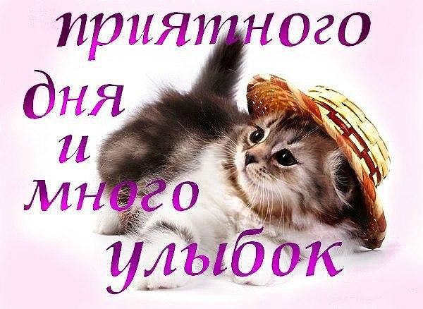 Приятное пожелание приятного дня Приятное пожелание приятного дня