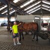 андрей, 29, г.Антверпен андрей, 29, г.Антверпен