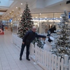 sigitas, 54, г.Pinneberg sigitas, 54, г.Pinneberg