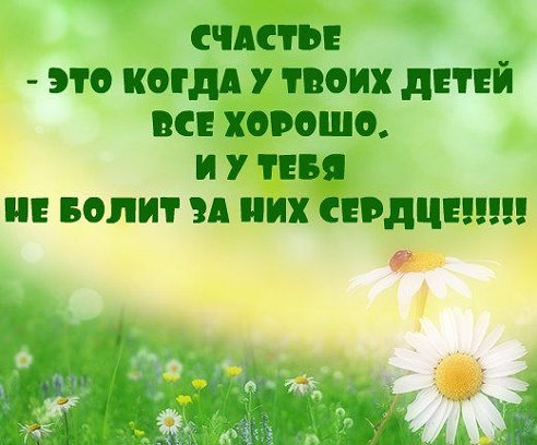 Высказывания великих о природе Никитинская библиотека Витамины для ресниц: арсенал красоты для их роста и укрепления