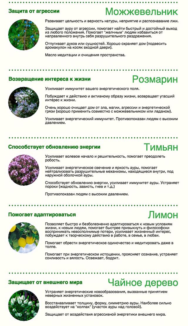 Какую одежду носили римляне? Одежда римлян и ее описание Как красиво сложить салфетки на праздничный стол 12 простых пошаговых