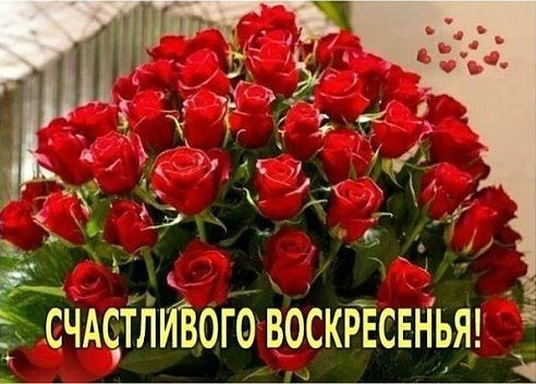 удачного воскресенья картинки онлайн удачного воскресенья картинки
