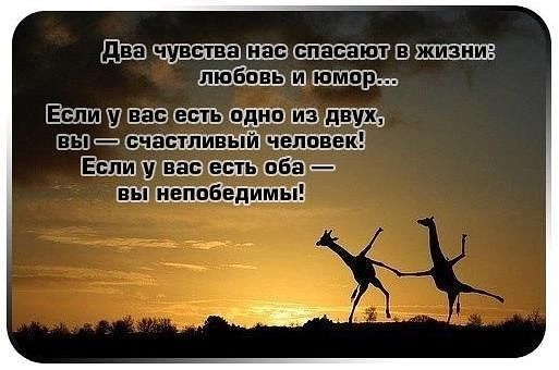 Интернет-магазин тюнинга ВАЗ и иномарок с доставкой по России Импланты зубов виды, как ставят, сколько служат?