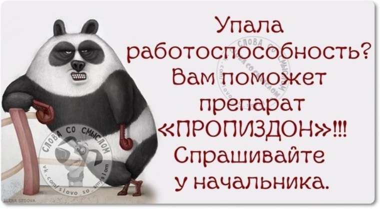 Для каролины, приколы про понедельник в картинках с надписями поржать