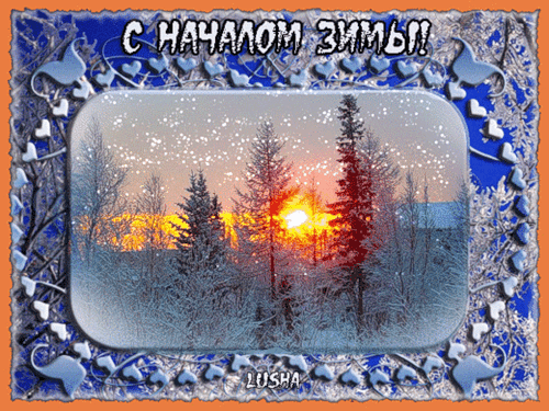 Когда на зиму обрезать астильбу