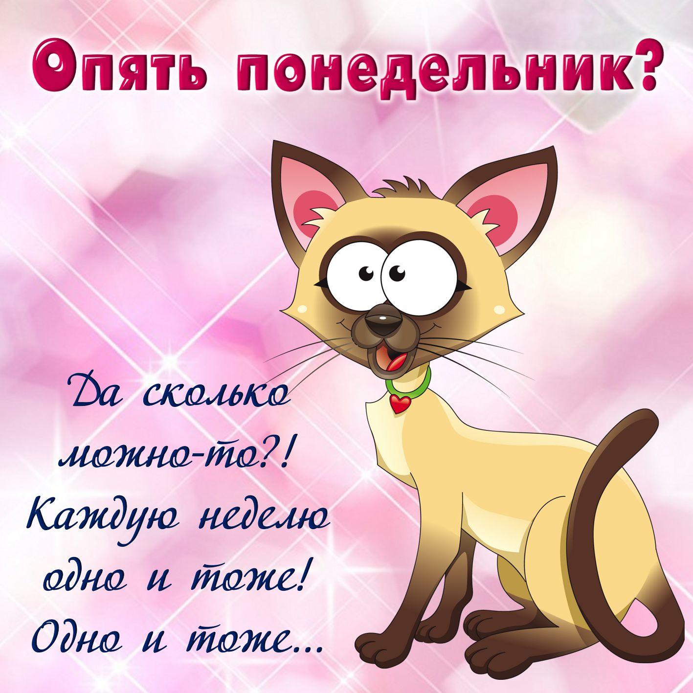 Открытки на юмор, очках смешные