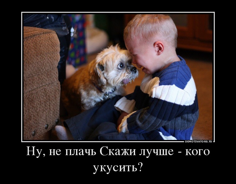 Керри прикольные, не плачь картинка прикол