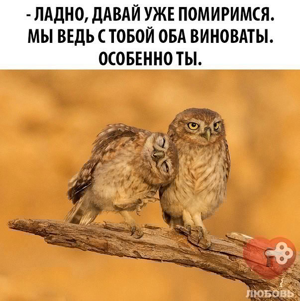 Картинках анимация, картинки прикольные давай мириться