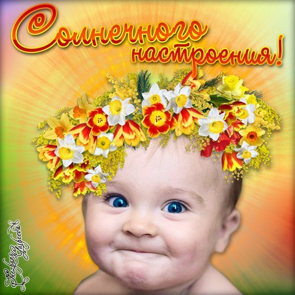 Высказывание, хорошего солнечного настроения открытки