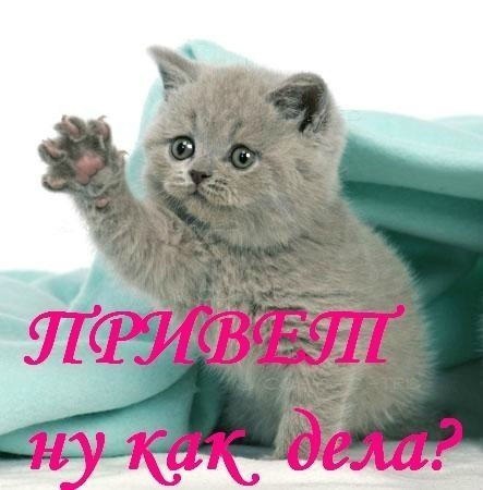 Открытки привет сестренка как дела, днем рождения тете