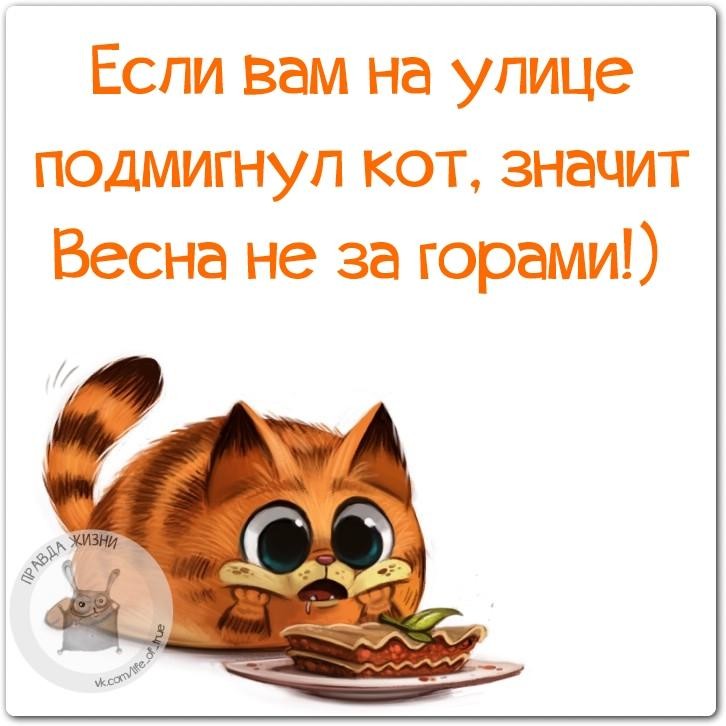 Картинки прикольные ждем весну