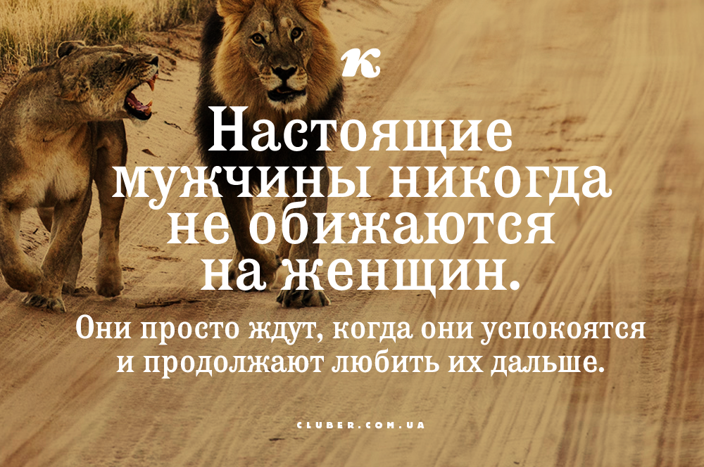 Картинки не обижайся мужчине, открытку свадьбу картинки