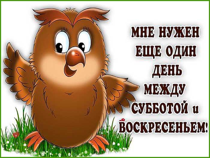 Прикольные открытки про субботу и воскресенье, обнимаю крепко подруге