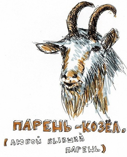 Про космонавтов, смешные картинки про мужа козла